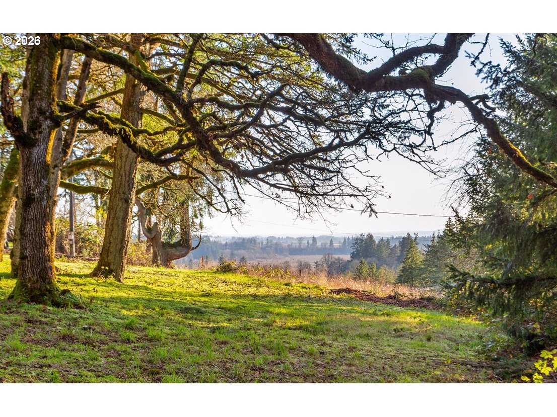 4210 Northeast Breyman Orchards Road Dayton, OR 97114 - Photo 36 of 48 a view of an outdoor space with a lake view