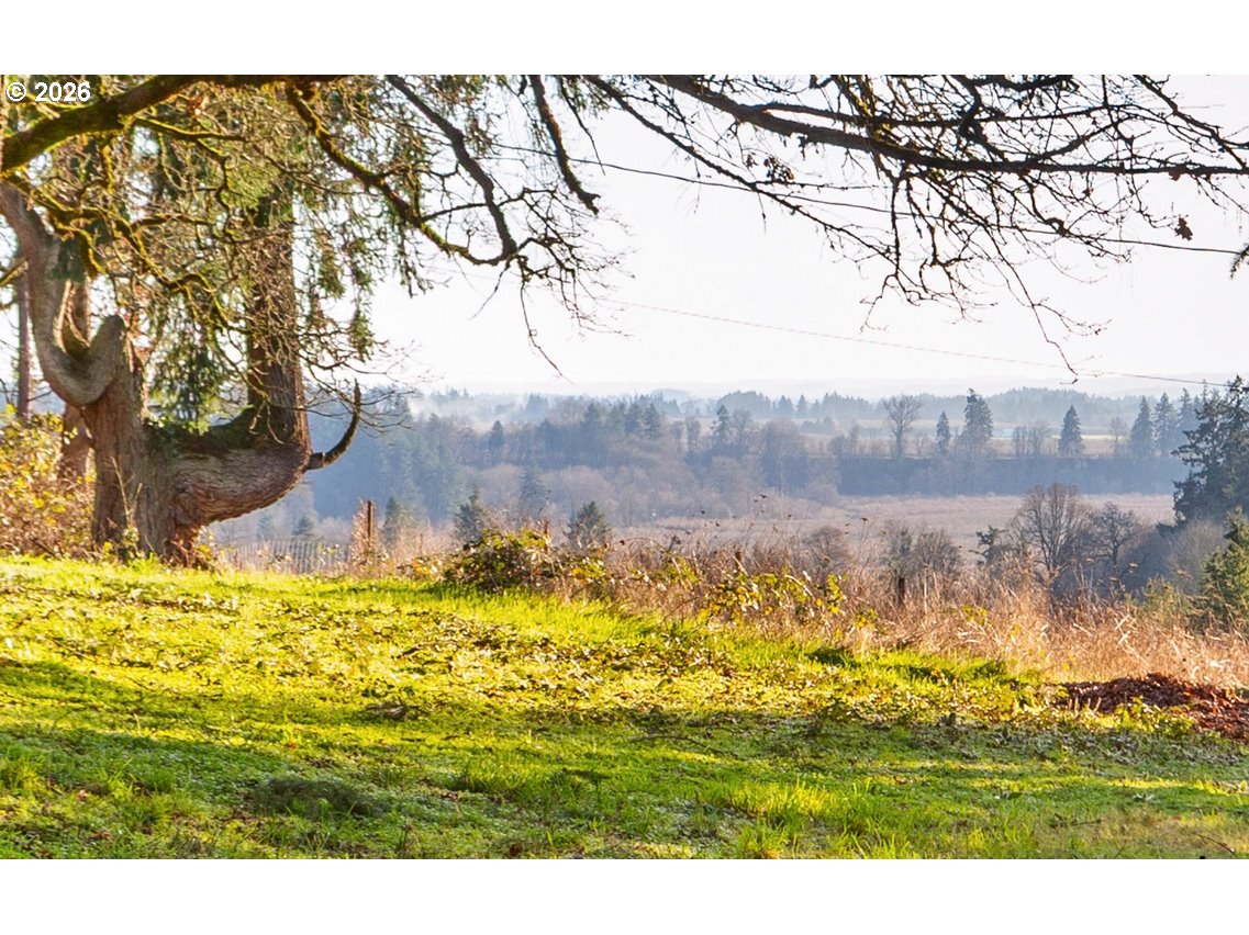 4210 Northeast Breyman Orchards Road Dayton, OR 97114 - Photo 37 of 48 a view of ocean view
