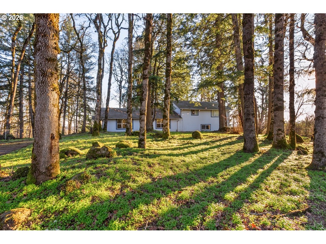 4210 Northeast Breyman Orchards Road Dayton, OR 97114 - Photo 4 of 48 a view of yard with tree