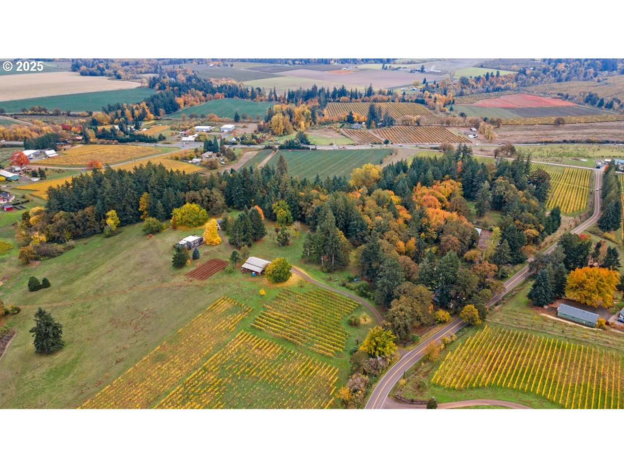4210 Northeast Breyman Orchards Road Dayton, OR 97114 - Photo 42 of 48 a view of a swimming pool with a lot of trees in front of it