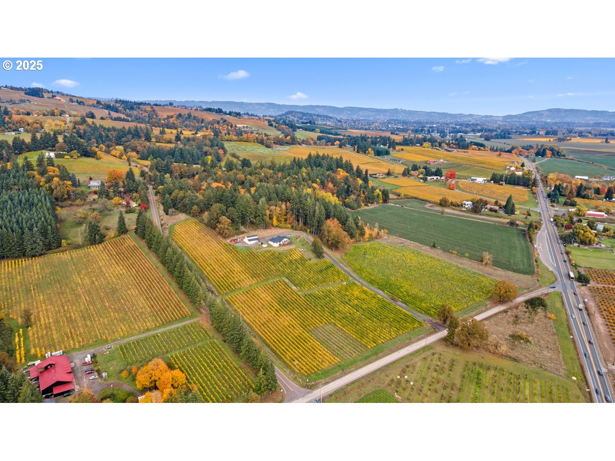 4210 Northeast Breyman Orchards Road Dayton, OR 97114 - Photo 44 of 48 a view of an outdoor space and city view