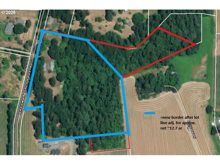 4210 Northeast Breyman Orchards Road Dayton, OR 97114 - Photo 46 of 48 a view of a yard from a balcony