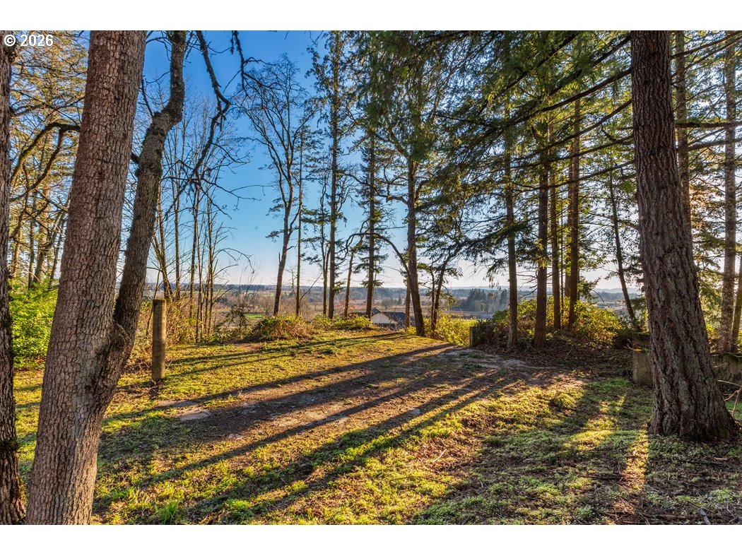4210 Northeast Breyman Orchards Road Dayton, OR 97114 - Photo 9 of 48 a view of a yard with trees