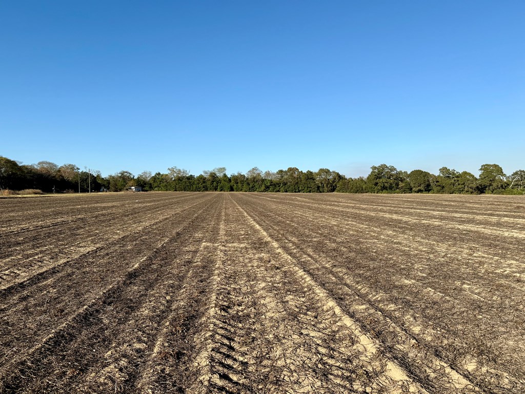 7.57-acres Burdeshaw Road Headland, AL 36345 - Photo 7 of 11