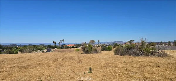 a view of a dry yard with trees