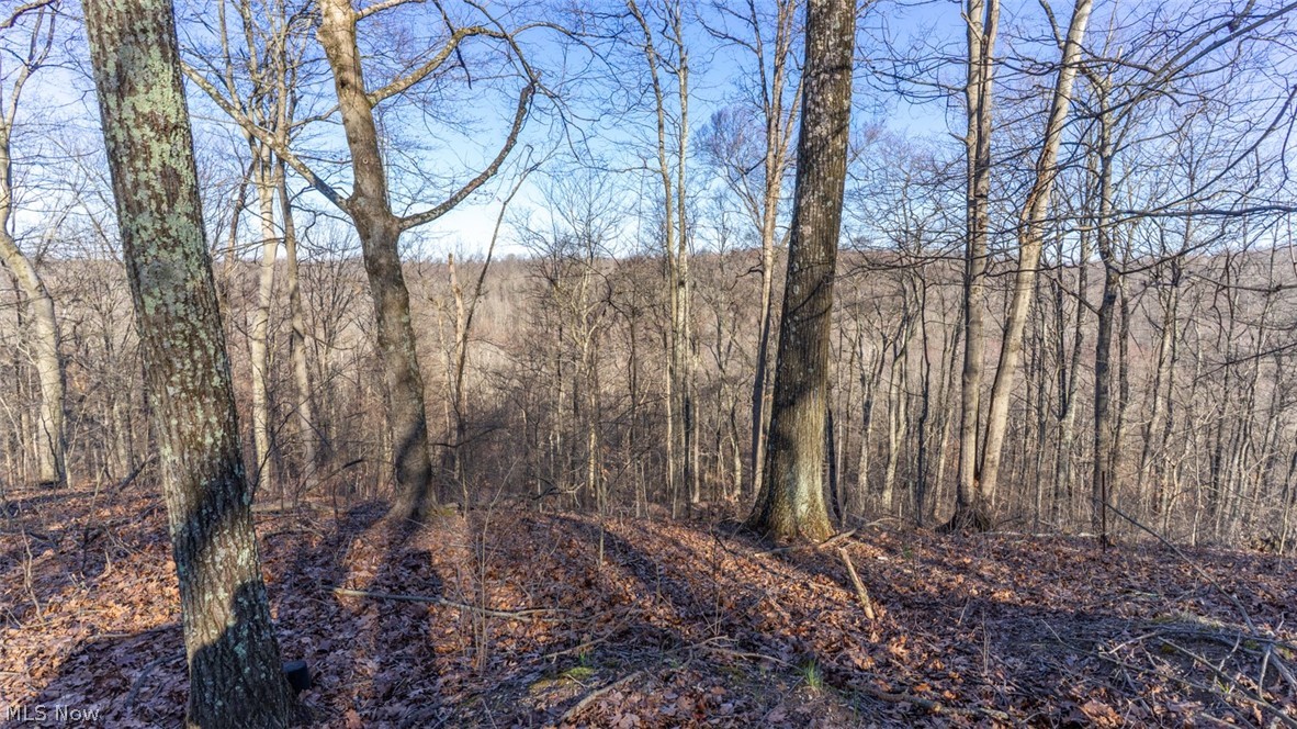 0 Clem Garvin Road Caldwell, OH 43724 - Photo 46 of 50 View of wooded area
