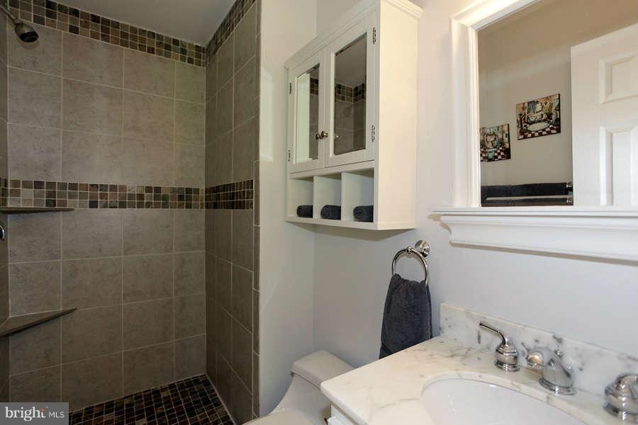 7937 Forest Path Way Springfield, VA 22153 - Photo 18 of 28 Bath (Master)