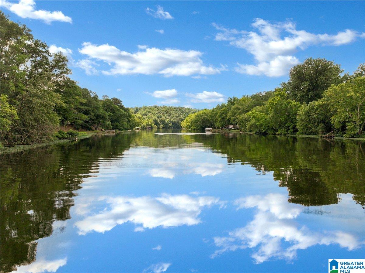 526 Boat Launch Road Quinton, AL 35130 - Photo 52 of 56
