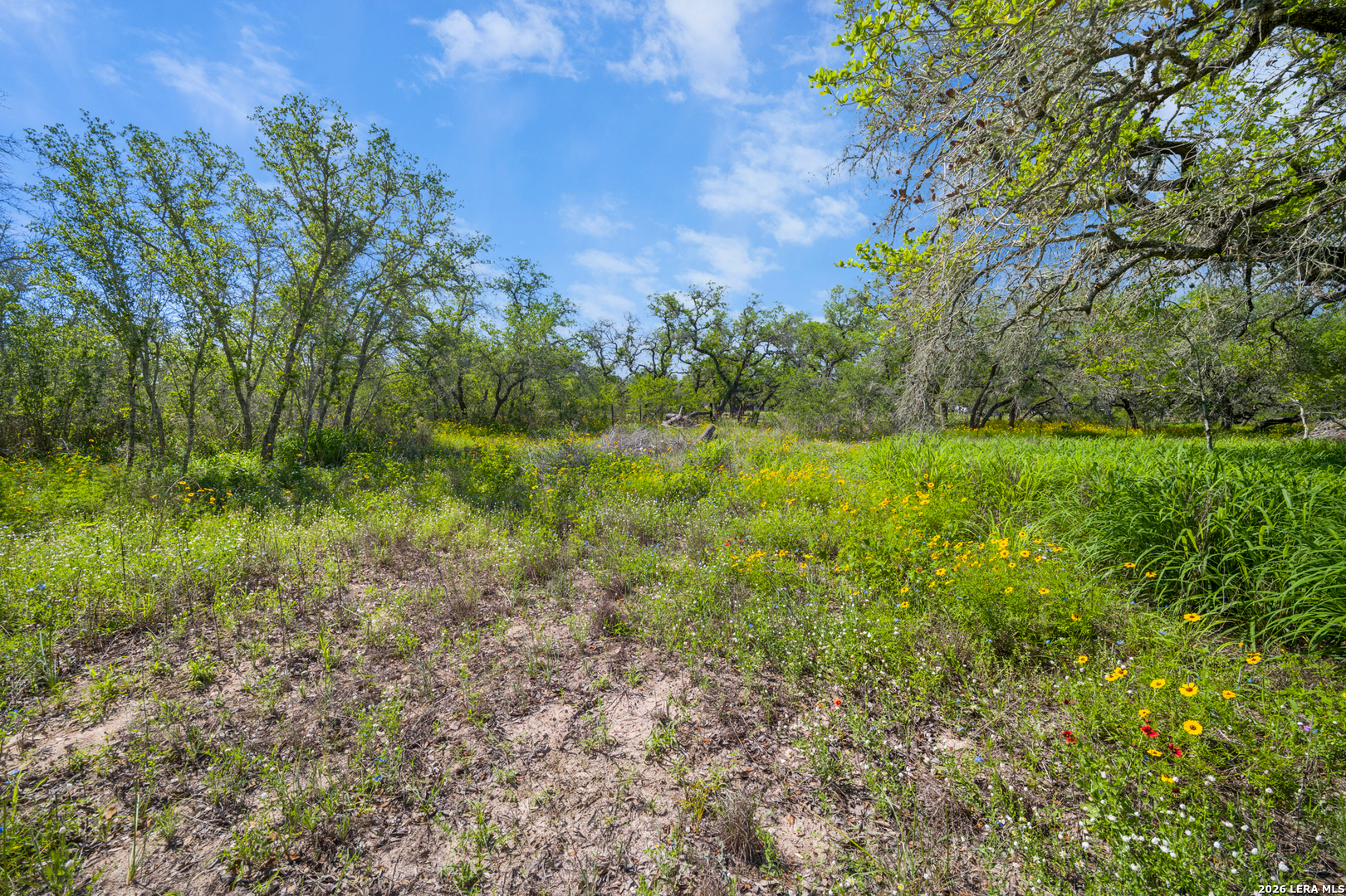230 P R D65 Poteet, TX 78065 - Photo 7 of 29 a view of a lush green space