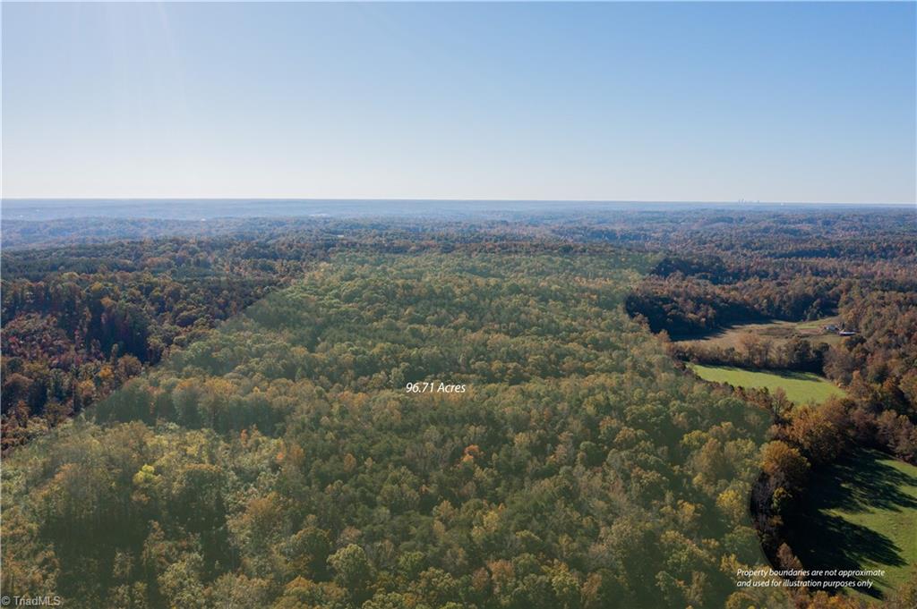 291.82-acres South Friendship Road Germanton, NC 27019 - Photo 6 of 27 Gallery Image 6