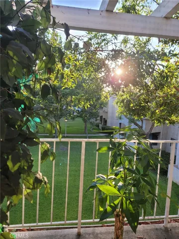 a view of a yard with plants
