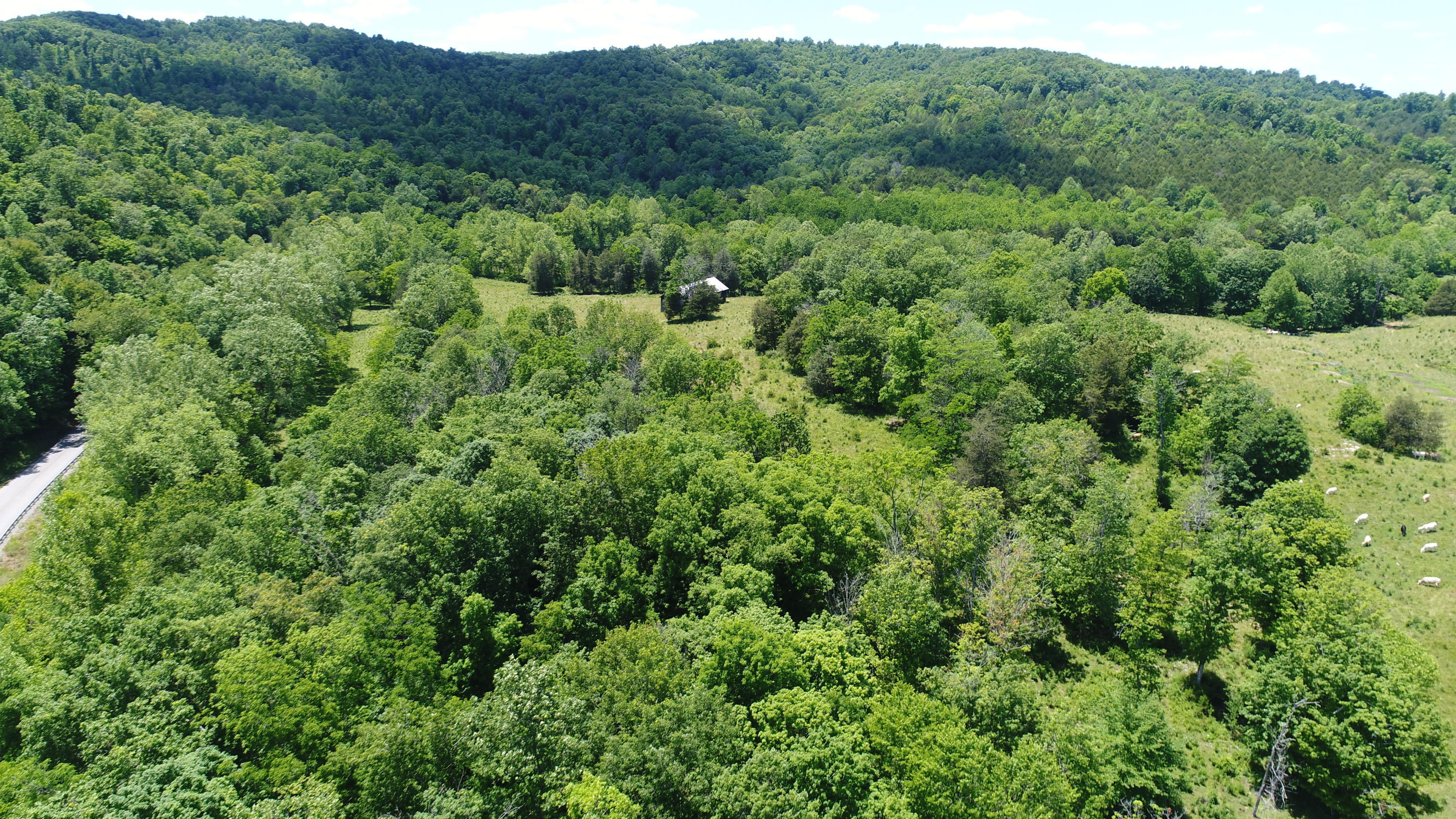 2000 Blue Springs Road Mount Vernon, KY 40456 - Photo 23 of 43 DJI_0092