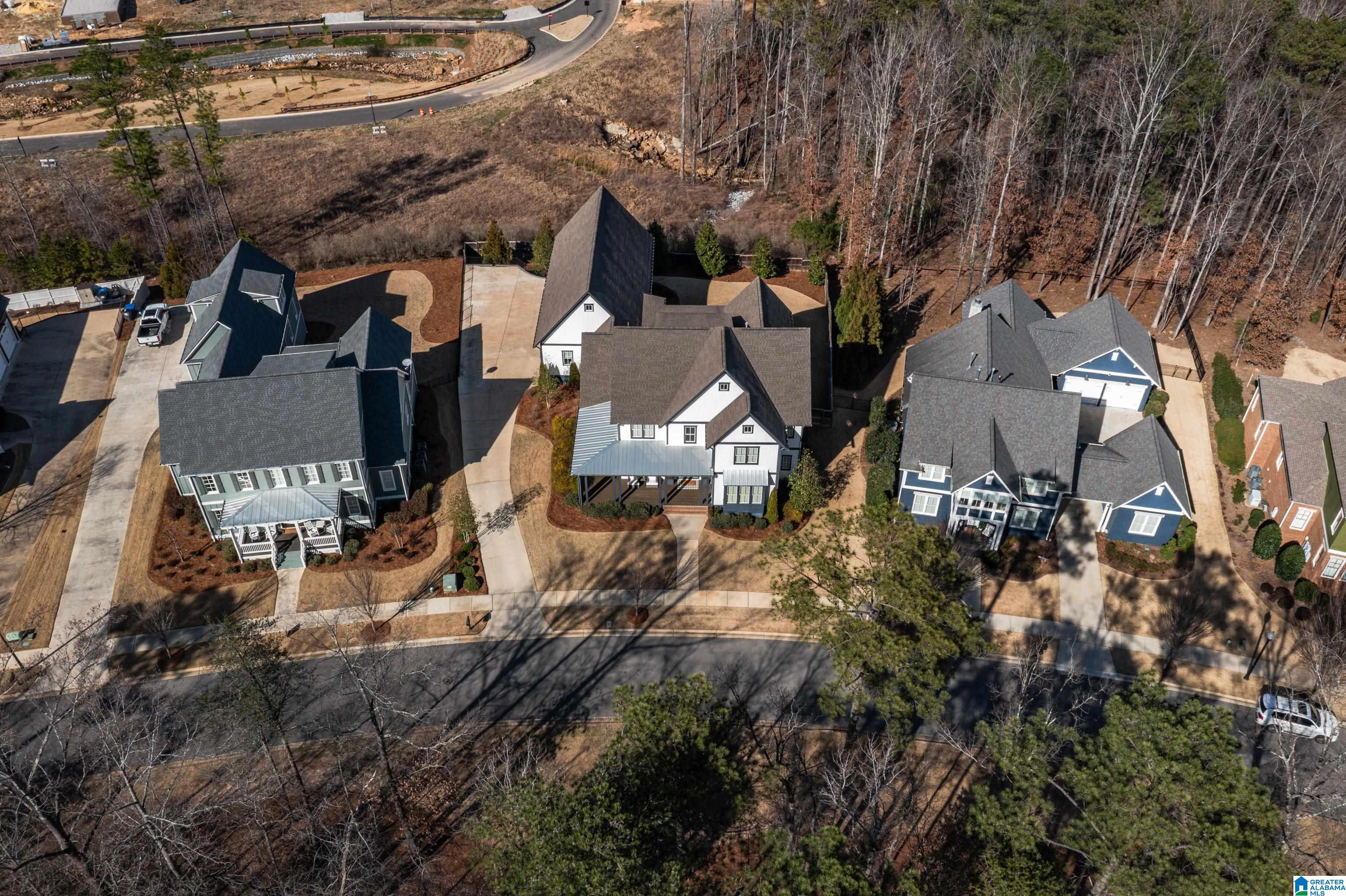 4258 Renaissance Park Circle Birmingham, AL 35226 - Photo 6 of 100