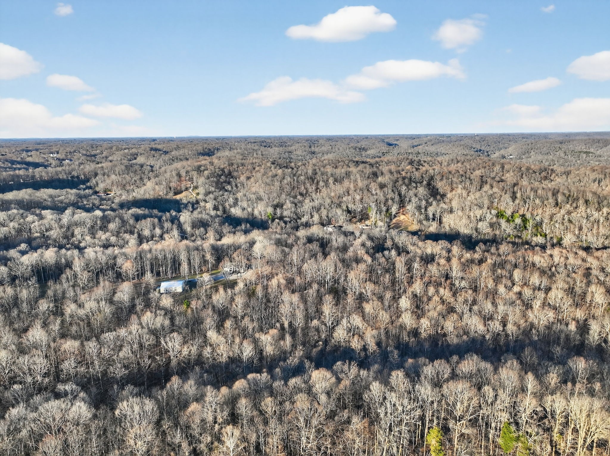 0 Garrison Branch Road Cottontown, TN 37048 - Photo 6 of 9 Gallery Image 6