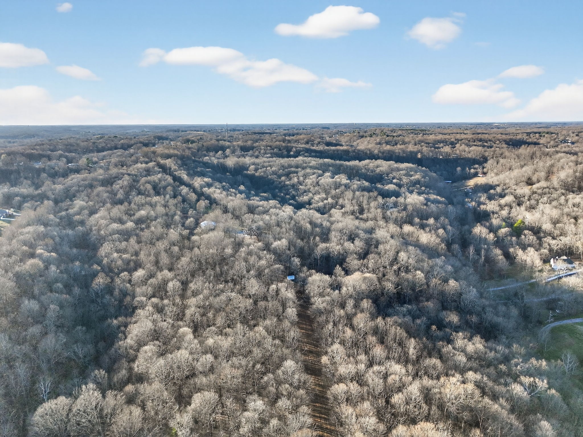 0 Garrison Branch Road Cottontown, TN 37048 - Photo 8 of 9 Gallery Image 8