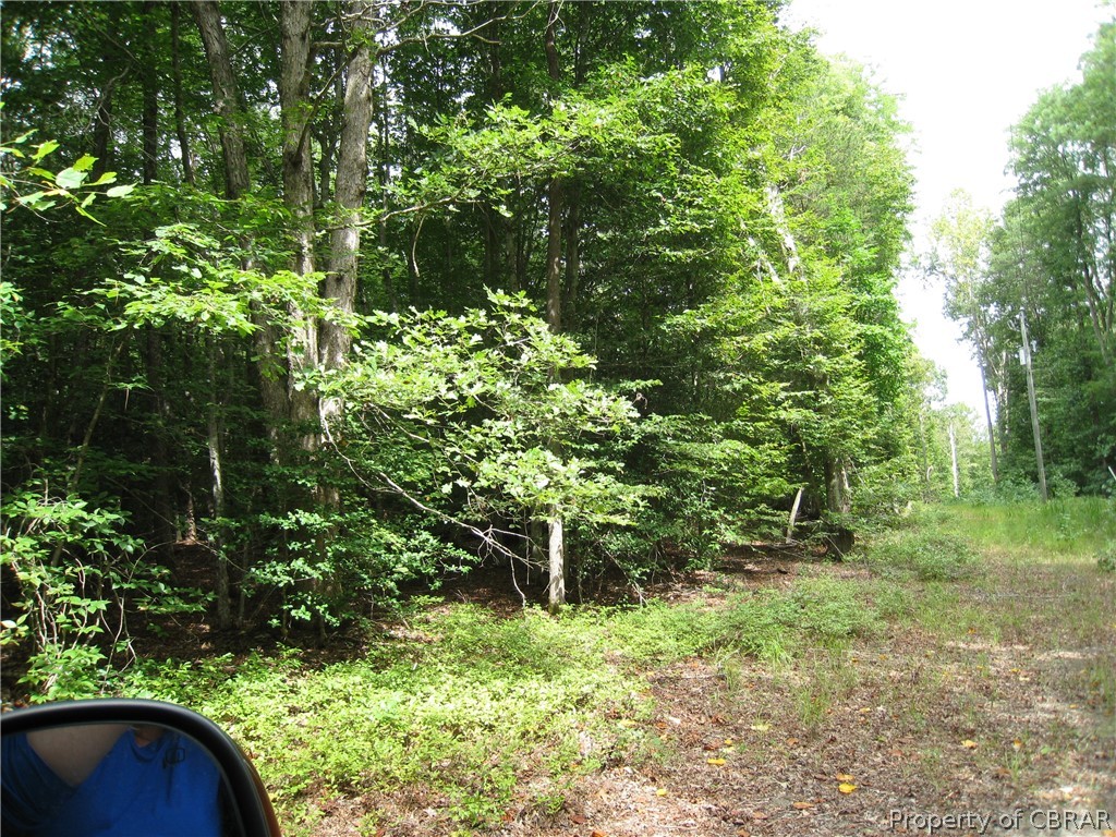 0 Rilees Farm Road Gloucester, VA 23061 - Photo 1 of 4 Gallery Image 1