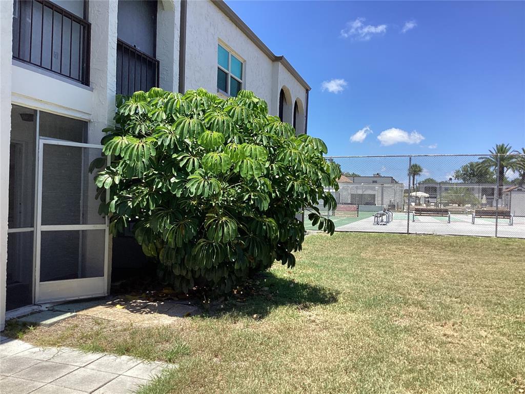 7701 Starkey Road, Unit 703 Seminole, FL 33777 - Photo 13 of 14