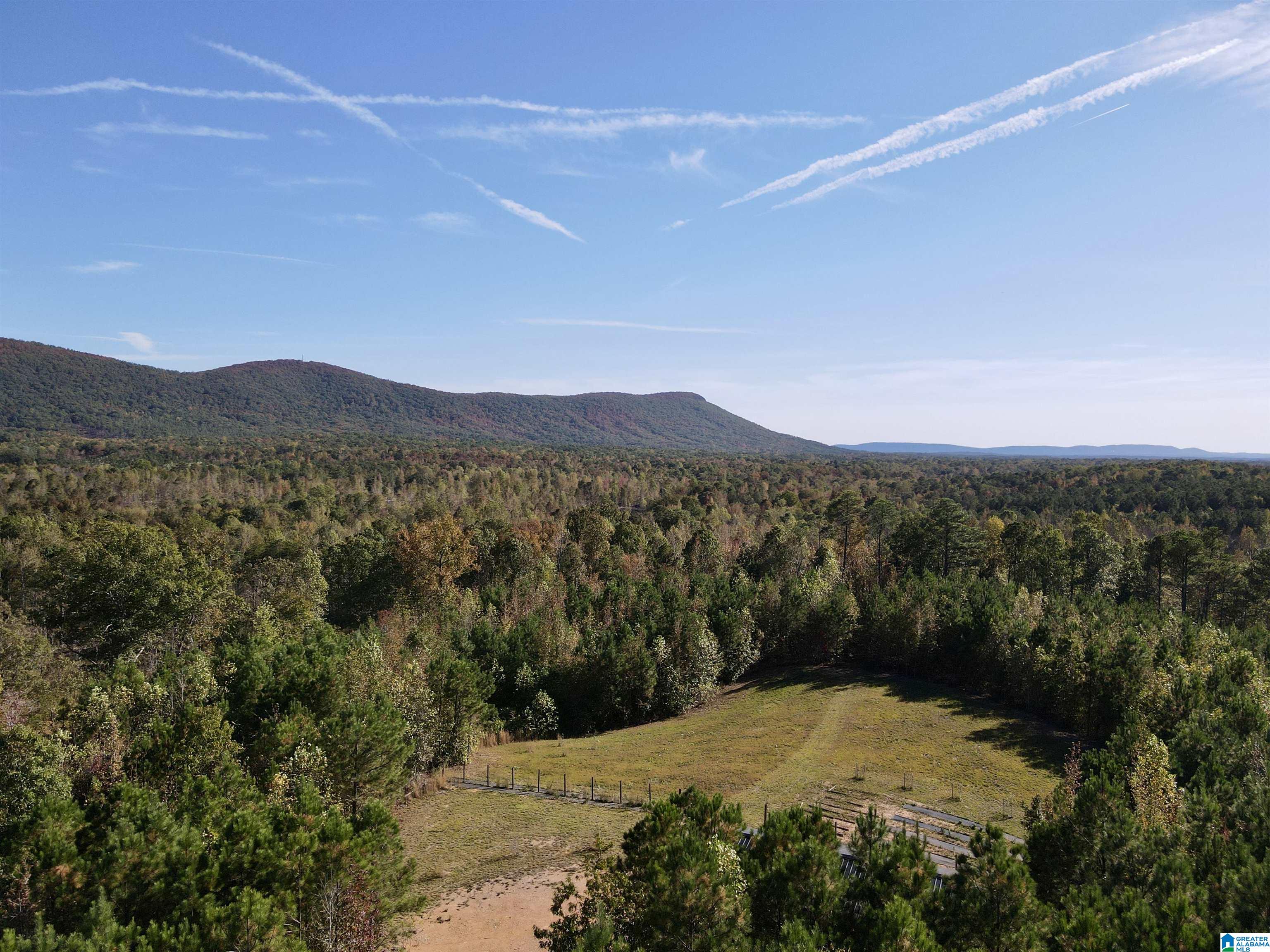 7070 Rendalia Motorway Talladega, AL 35160 - Photo 4 of 28