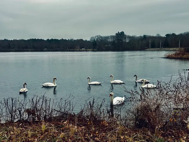 $389,900 | 7 Assinippi Avenue, Unit 306, Norwell, MA 02061