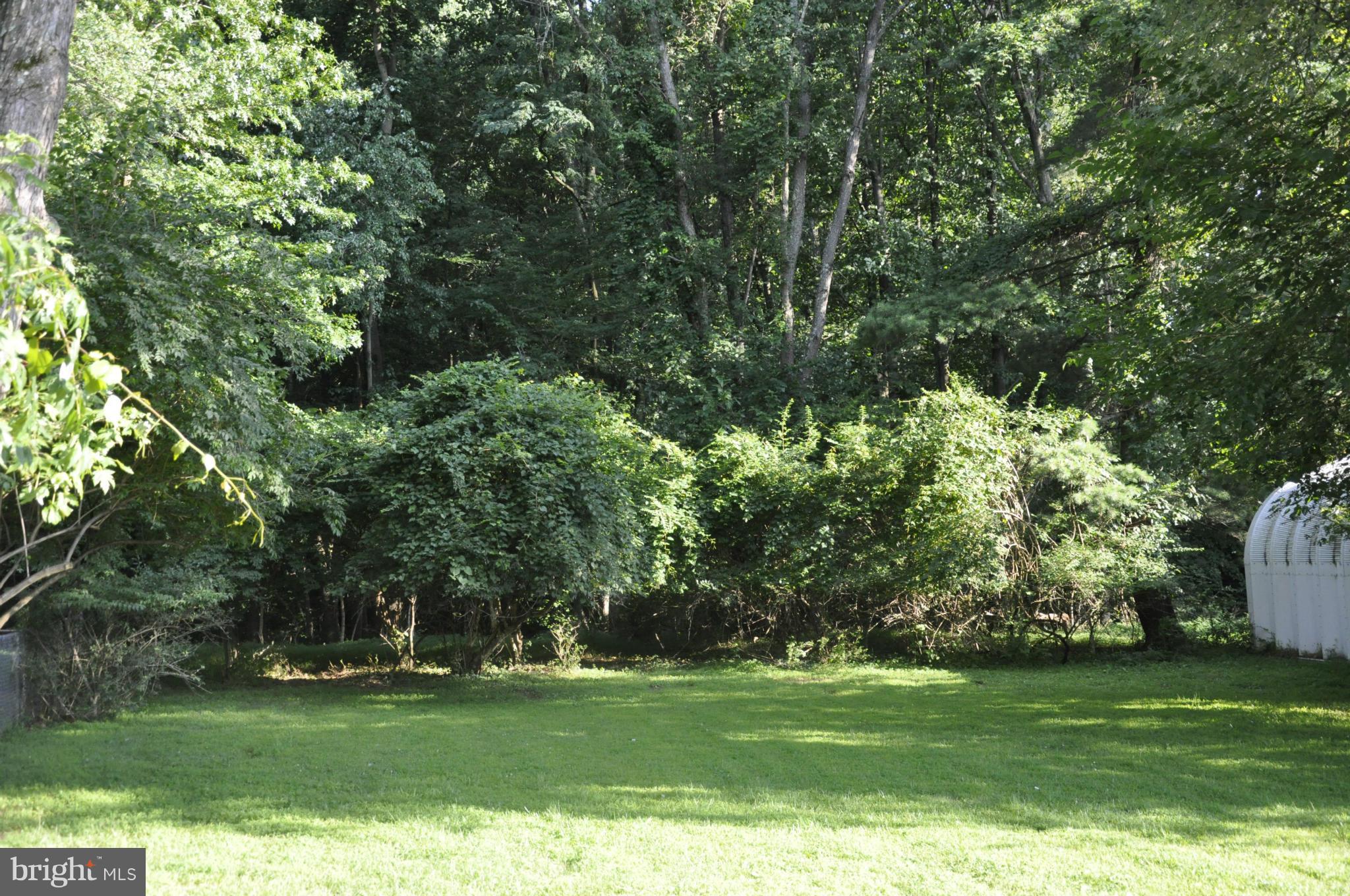 110 Hannes Street Silver Spring, MD 20901 - Photo 3 of 11 View