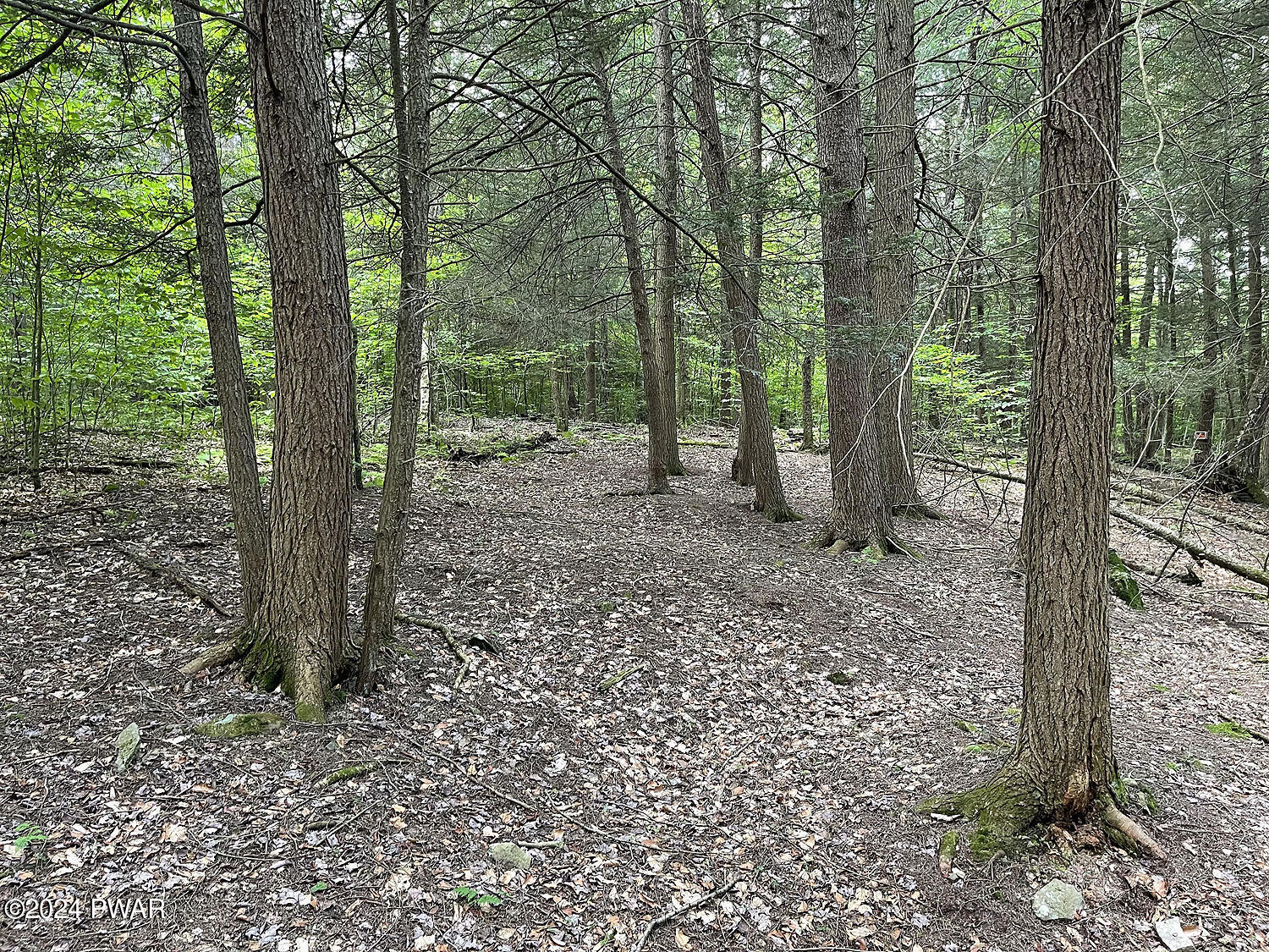 0 Rotten Road Equinunk, PA 18417 - Photo 15 of 20