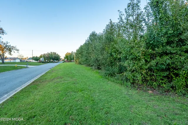 a view of a grassy field with trees