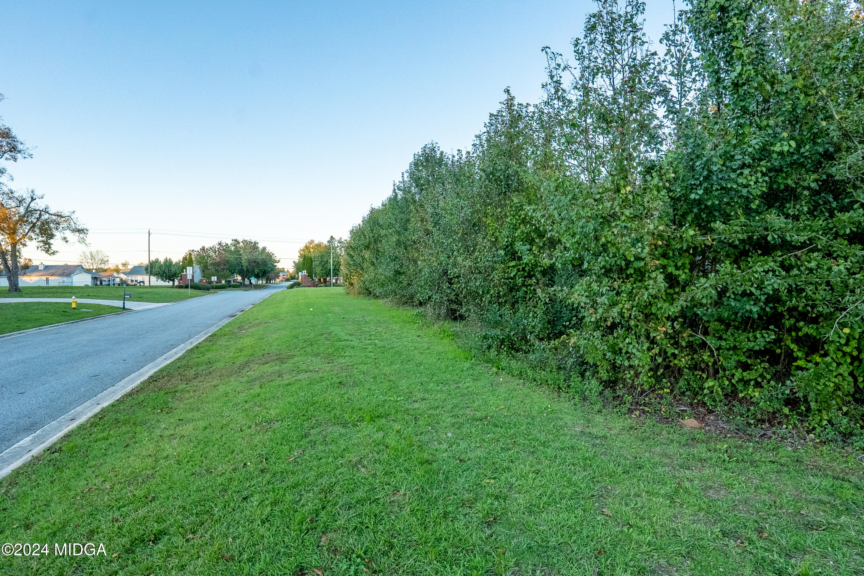 4072 Sardis Church Road Macon, GA 31216 - Photo 2 of 4 a view of a grassy field with trees