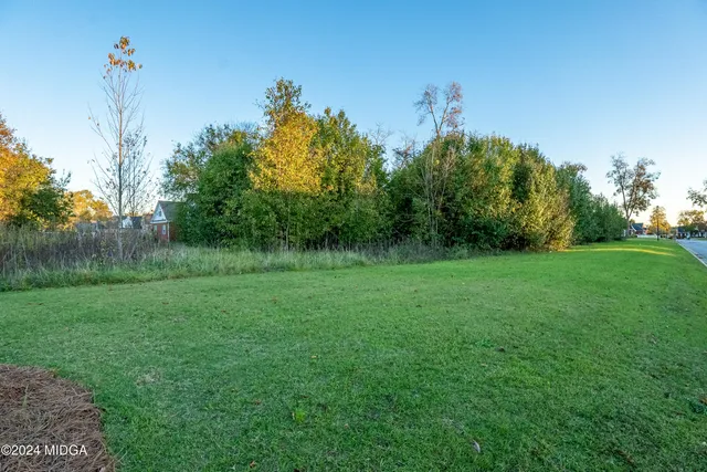 a view of a field with a tree in the background