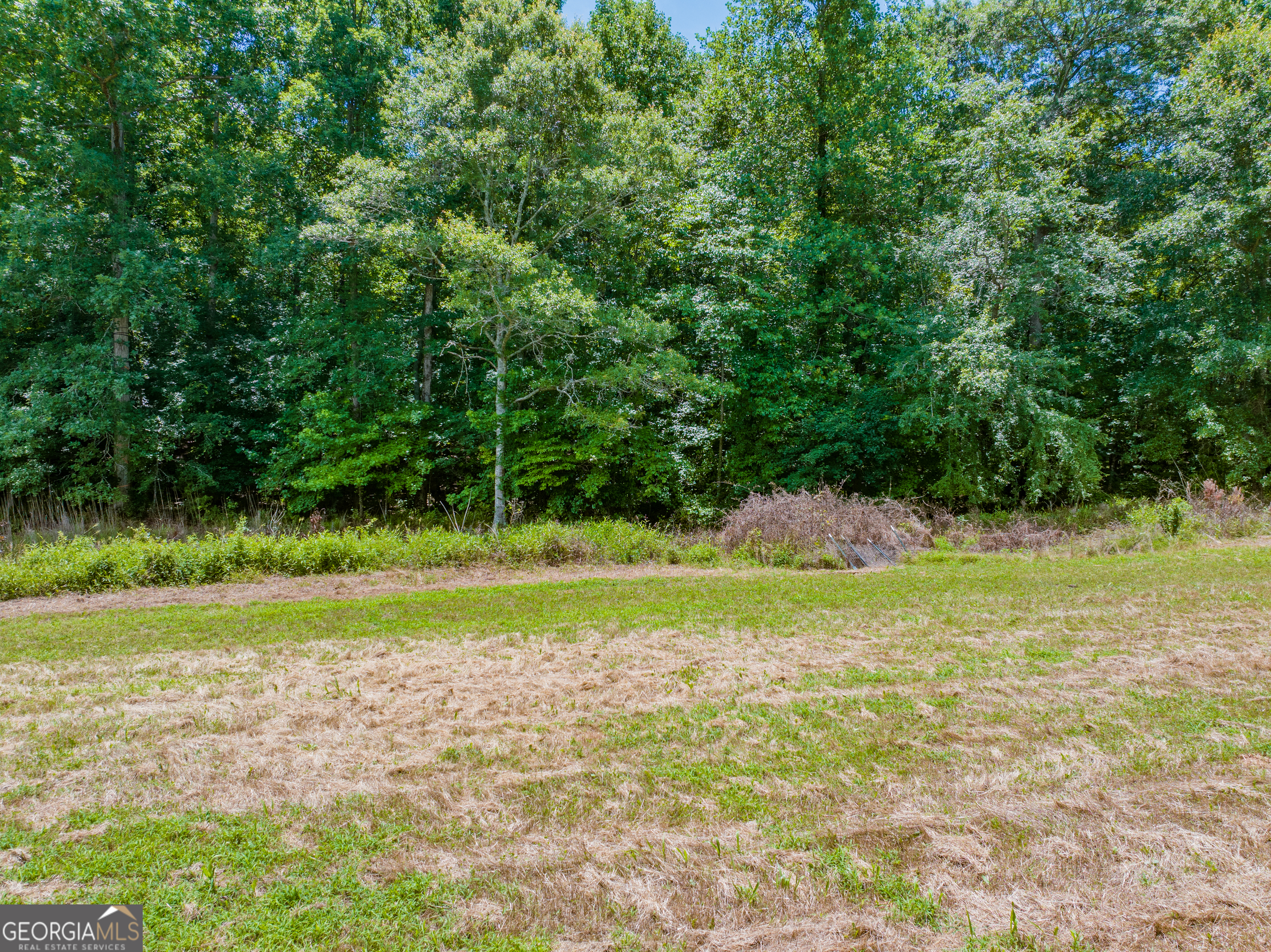 21.4-acres Cochran Road Madison, GA 30650 - Photo 12 of 12