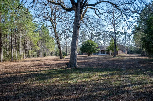 a view of backyard of green space