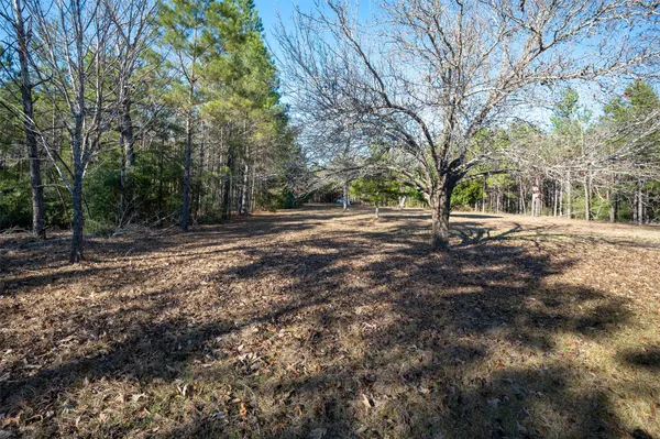 a view of road with trees