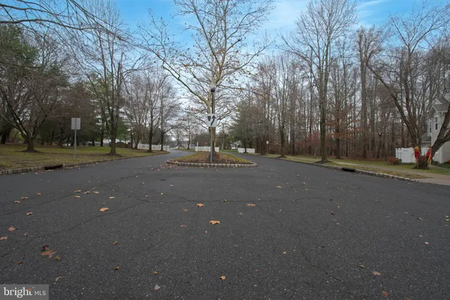 a view of road view with large trees