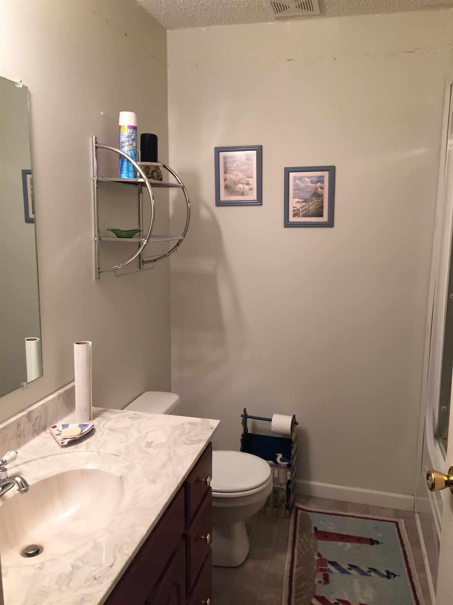 1990 Nancy Green Ridge Road Prospect, TN 38477 - Photo 18 of 28 Full bath with tub/shower combo