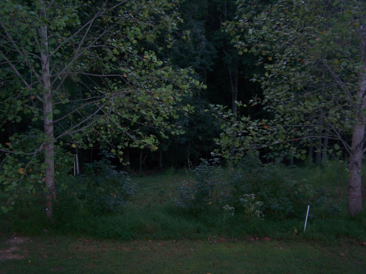 1990 Nancy Green Ridge Road Prospect, TN 38477 - Photo 24 of 28