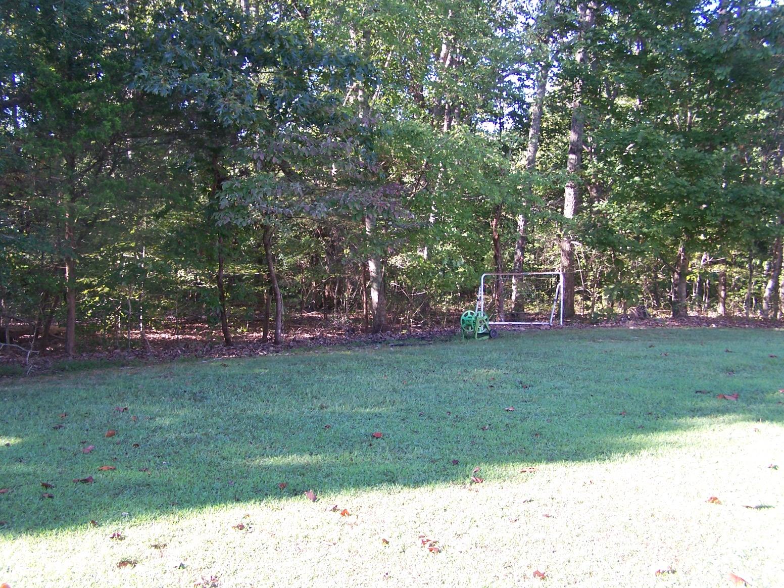 1990 Nancy Green Ridge Road Prospect, TN 38477 - Photo 25 of 28 Nice yard
