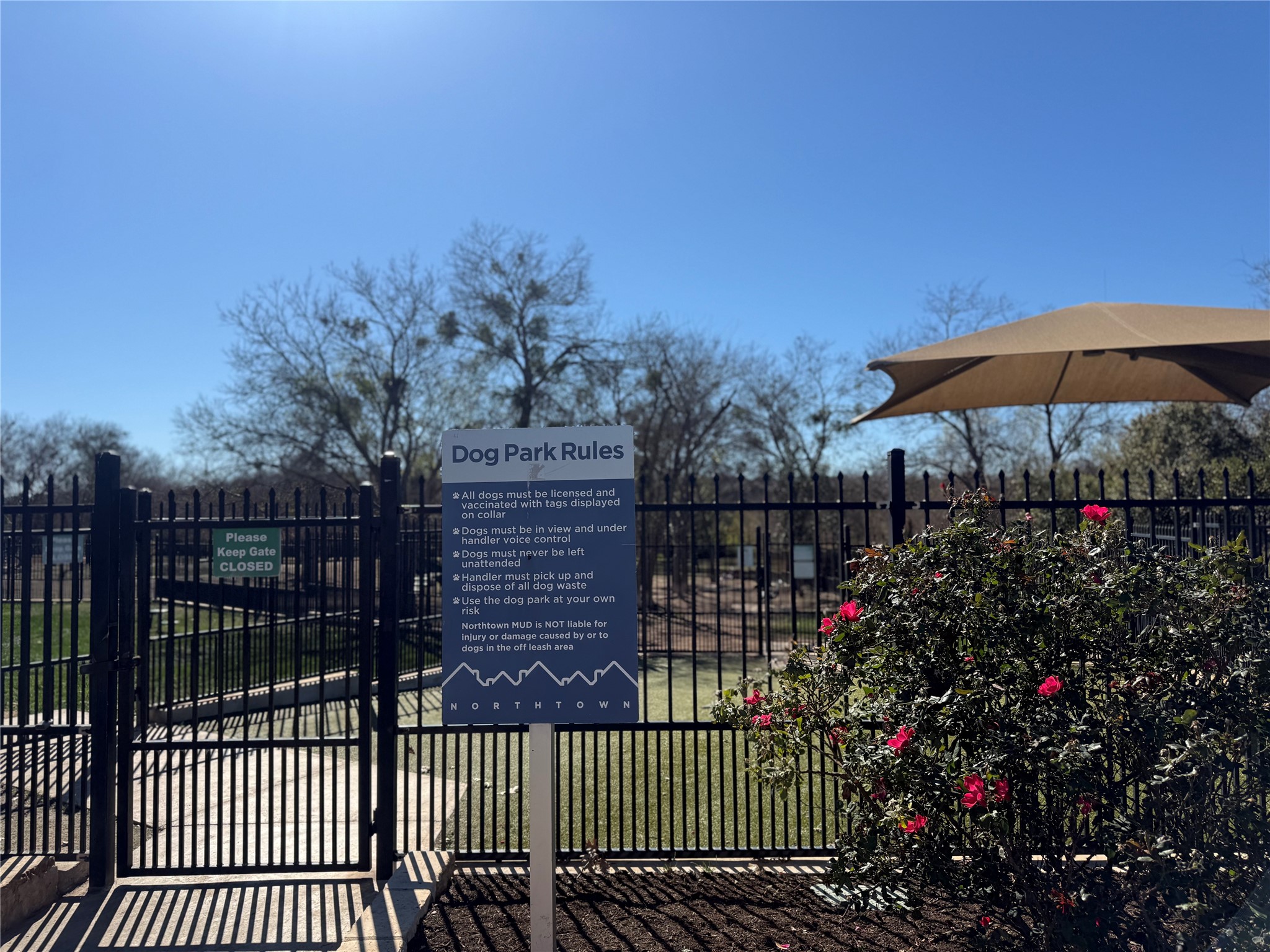 904 Sebastian Bend, Unit B Pflugerville, TX 78660 - Photo 29 of 30 a view of a house with a garden