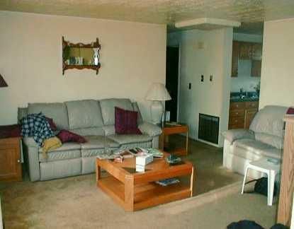 245 East Union Road Cheswick, PA 15024 - Photo 2 of 8 Living Room.