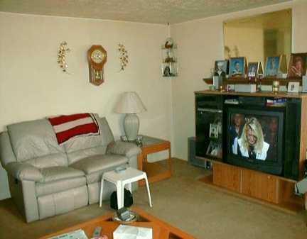 245 East Union Road Cheswick, PA 15024 - Photo 3 of 8 Living Room.