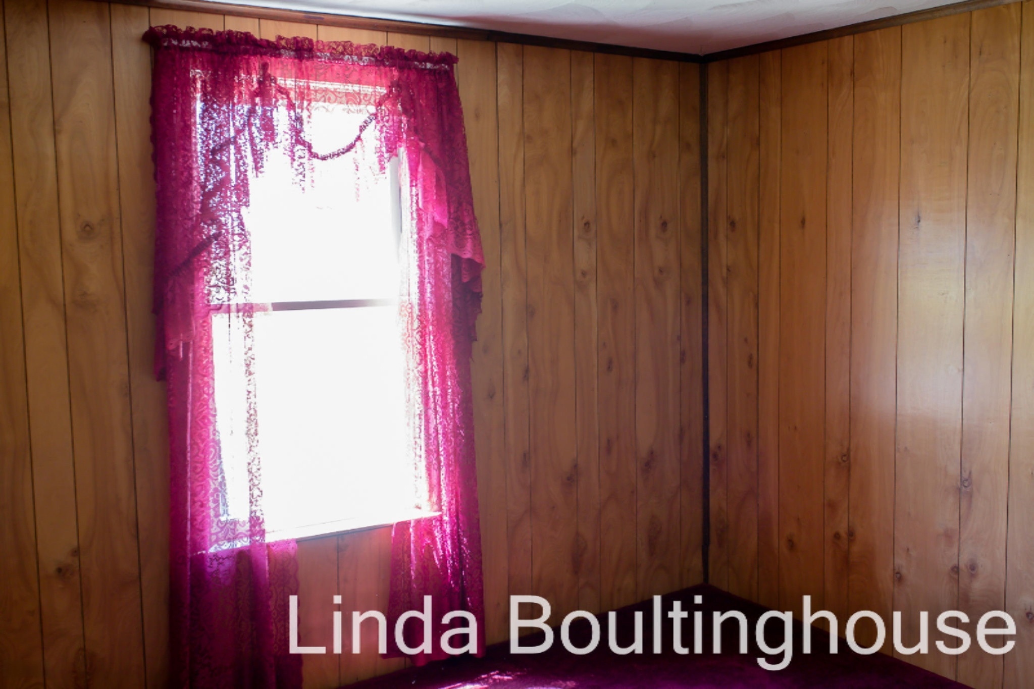 4890 North Brown Road Stanton, MI 48888 - Photo 33 of 38 2nd bedroom.