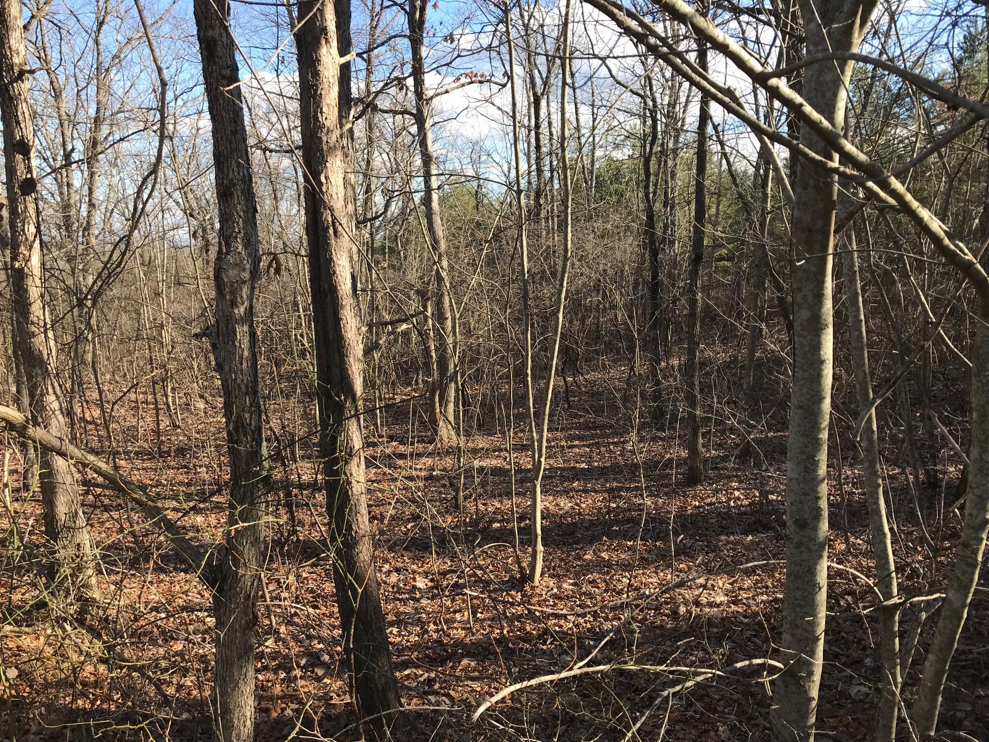 22 Forest Knoll Road, Unit 22 Dunlap, TN 37327 - Photo 8 of 10 Gallager8