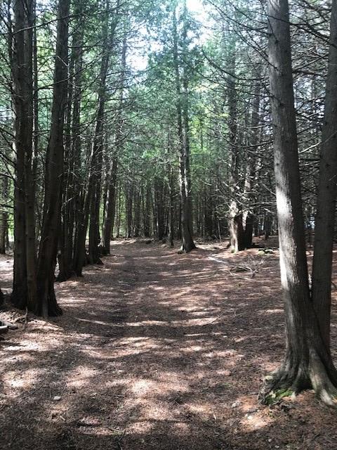 Lot 2 West Meadow Road Fish Creek, WI 54212 - Photo 32 of 40