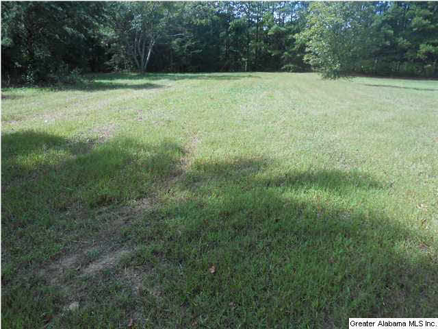 311 Sullivan Lane, Unit 4 5 Springville, AL 35146 - Photo 10 of 17 Gallery Image 10