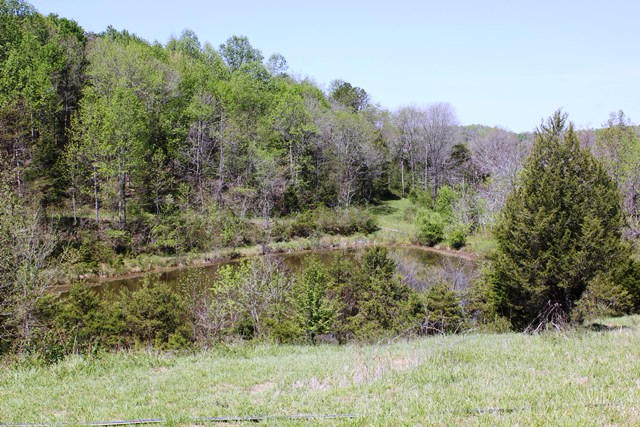 0 Sleepy Hollow Road Moneta, VA 24121 - Photo 1 of 4 Acreage Overlooking Pond
