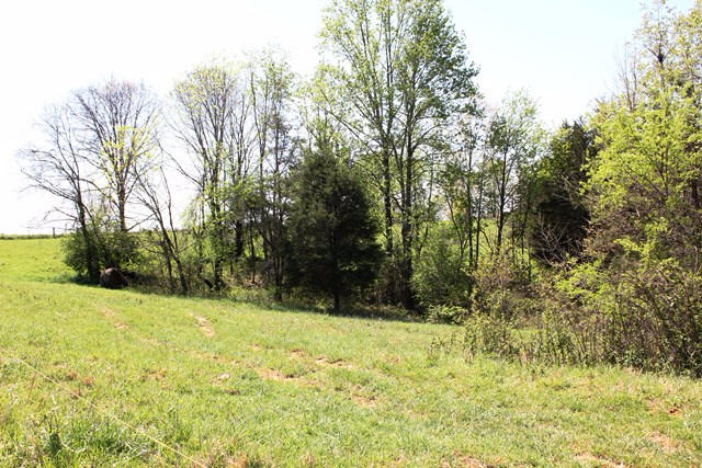 0 Sleepy Hollow Road Moneta, VA 24121 - Photo 3 of 4 Cleared & Wooded Acreage