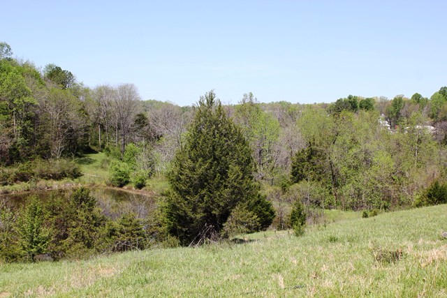 0 Sleepy Hollow Road Moneta, VA 24121 - Photo 4 of 4 Nice Building Site