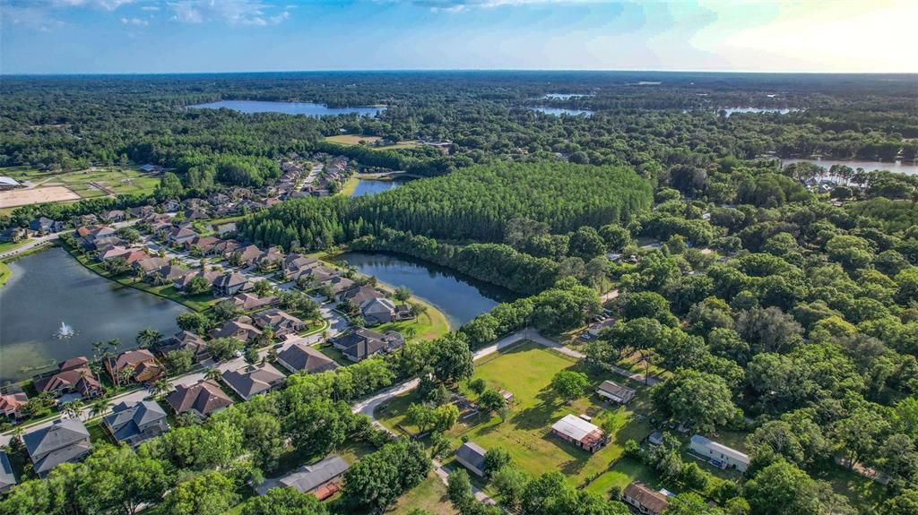 1747 Anna Road Odessa, FL 33556 - Photo 17 of 19 an aerial view of multiple house