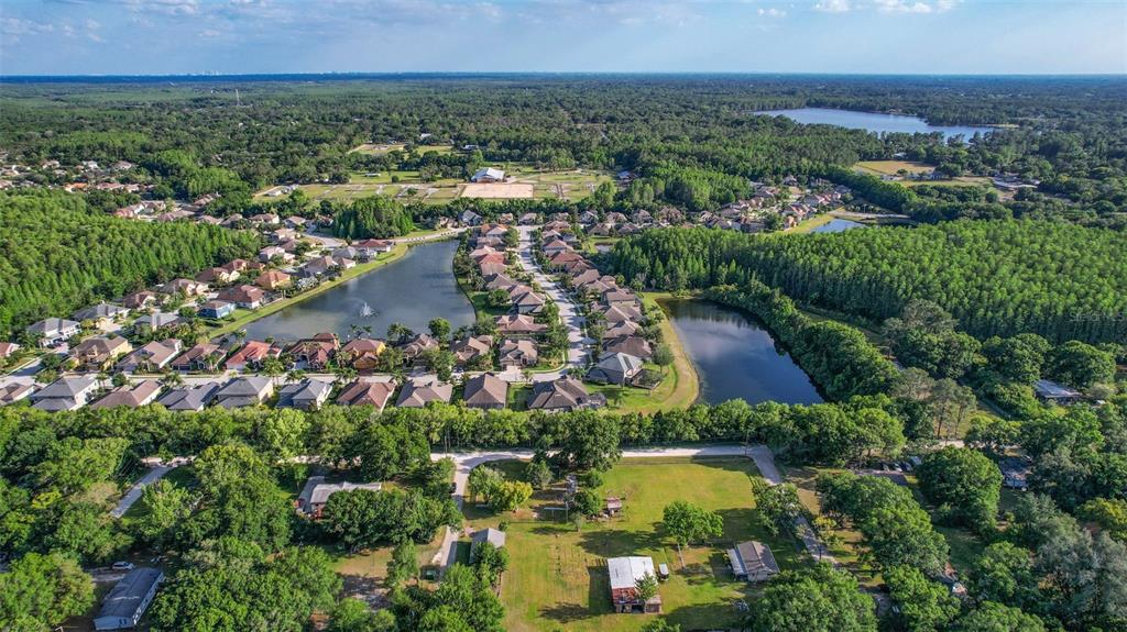 1747 Anna Road Odessa, FL 33556 - Photo 18 of 19 an aerial view of residential house with outdoor space and trees all around