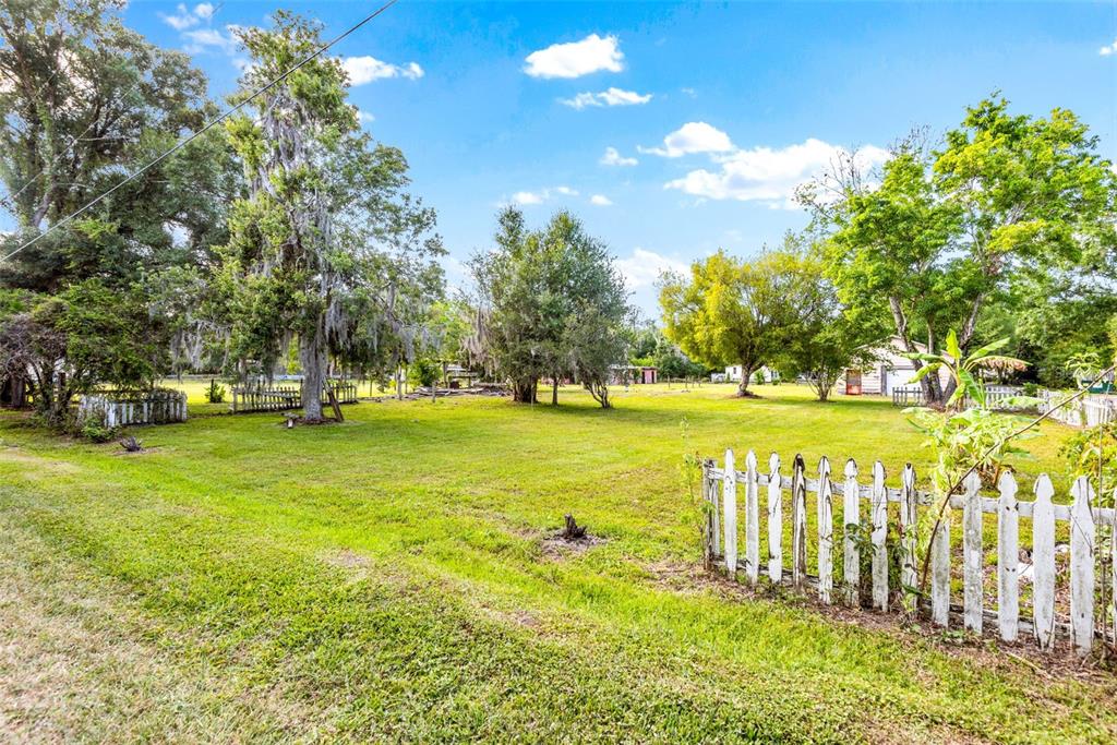 1747 Anna Road Odessa, FL 33556 - Photo 4 of 19 a view of yard with swimming pool and trees
