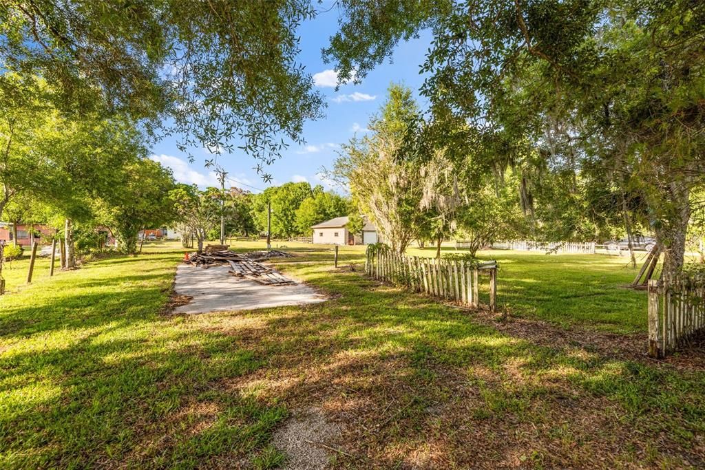 1747 Anna Road Odessa, FL 33556 - Photo 6 of 19 a view of yard with swimming pool and trees
