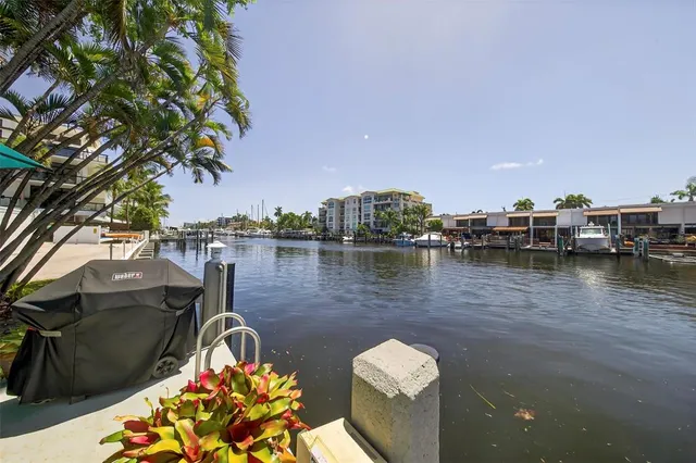 a lake view with boat and palm trees